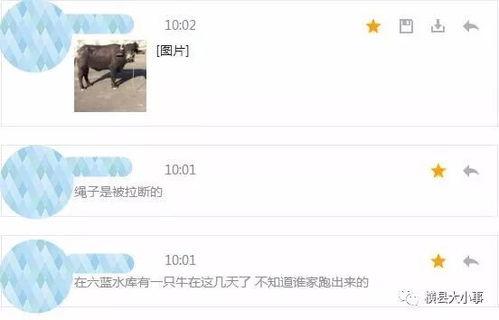 牛不啦最新爆料内容,娱乐圈最新爆料内容大起底 第3张 牛不啦最新爆料内容,娱乐圈最新爆料内容大起底 第3张